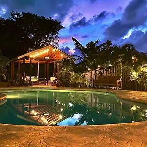Apartment Seaside Family Oasis, King Bed, Private Pool, With Car, Nassau