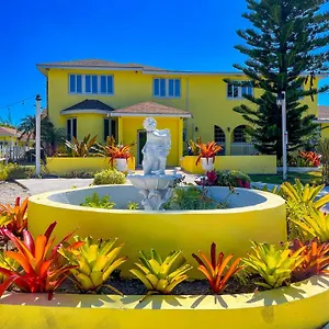 3* Bed & Breakfast Golden Palms House